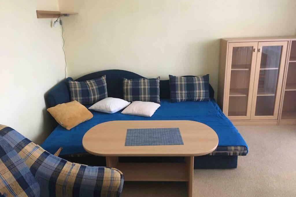 Family Apartment With Garden And Parking Spot เชสเกบูดิเยโจวิตเซ ภายนอก รูปภาพ